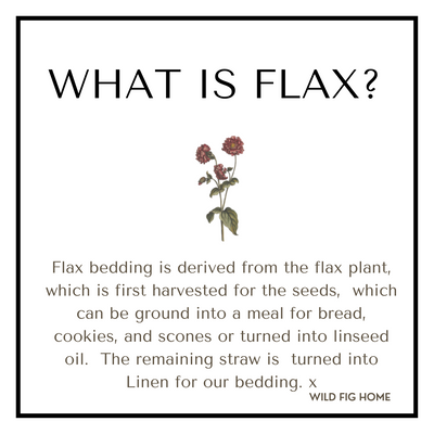 What is Flax?